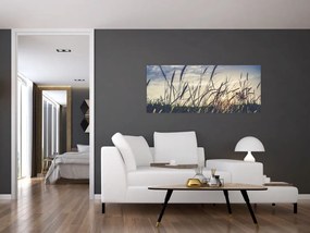 Tablou cu flori de câmp (120x50 cm)