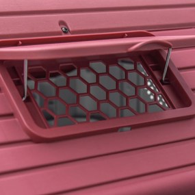 PawHut Cușcă pentru câini exterior și interior ușă dublă din metal și ventilație multiplă 59 x 75 x 66 cm roșu | Aosom Romania