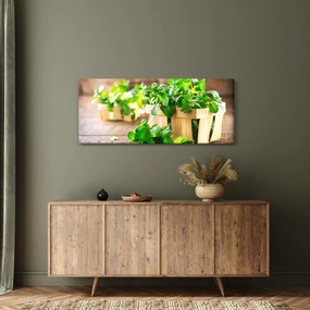 Tablou cu menta proaspătă (120x50 cm)