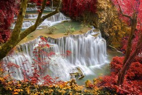 Fototapet cascada de pădure