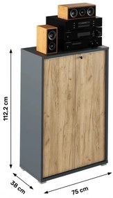 Dulap Birou RIOMA NEW TYP 09 Grafit/Stejar Artisan