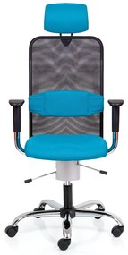 Scaun medical Techno Flex XL, albastru/negru