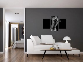 Tablou - Artă masculină (90x60 cm)