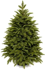 Pom de Crăciun artificial în ghiveci FULL 3D Caucazian Brad 100cm