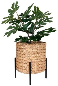 Ghiveci din zambilă de apă ø 26,5 cm Antas – House Nordic