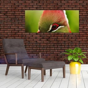 Tablou cu pasărea colorată (120x50 cm)
