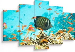 Tablou lumii submarine (150x105 cm)