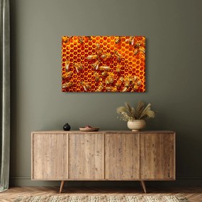 Tablou - Fagure de miere (90x60 cm)