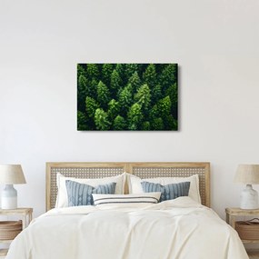Tablou - Pădure (90x60 cm)