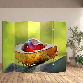 Paravan - Castani (210x170 cm)