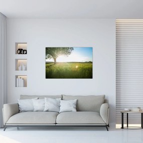 Tablou - Copac în câmp (90x60 cm)