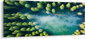 Tablou - O pădure învăluită în ceață (120x50 cm)