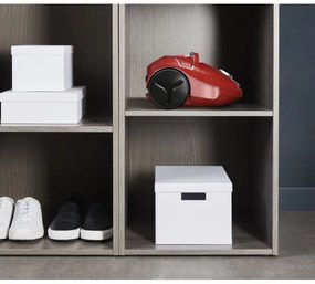 Aspirator cu sac Rowenta COMPACT POWER 750W/230V roșu