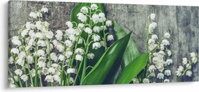 Tablou cu lăcrimioare (120x50 cm)