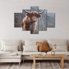 Tablou - Vaca Highlander (150x105 cm)