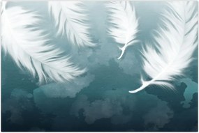 Tablou - Pene albe (90x60 cm)