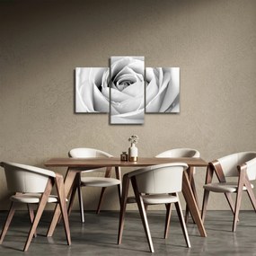 Tablou - Detailu de floare de trandafir (90x60 cm)