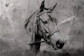 Tablou - Portret de cal (90x60 cm)