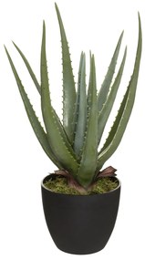 Aloe Vera artificiala in ghiveci, inaltime 44 cm