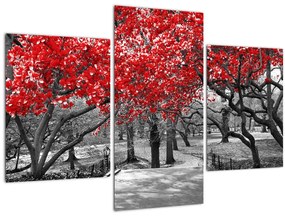 Tablou - Copaci roșii, Central Park, New York (90x60 cm)