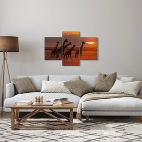 Tablou - Girafe în savana africană (90x60 cm)