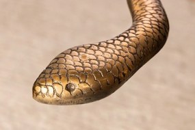 Masuta auxiliara design unicat Wildlife Snake 60cm