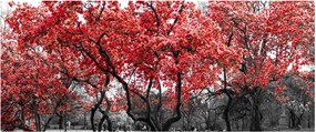 Tablou - Copacii roșii, Central Park, New York (120x50 cm)