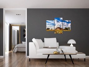 Tablou cu câmp de floarea soarelui (90x60 cm)