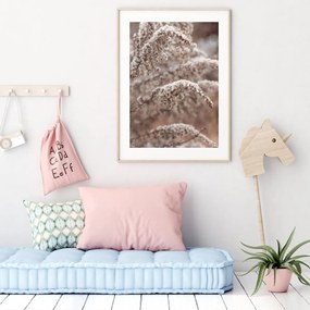 Poster - Florile plantei (A4)