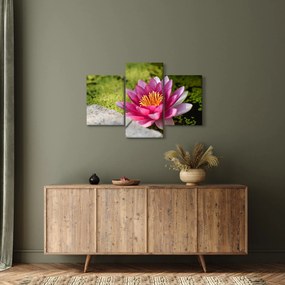 Tablou - Lotus (90x60 cm)