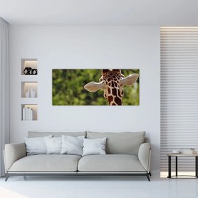 Tablou cu girafă din spate (120x50 cm), în 40 de alte dimensiuni noi