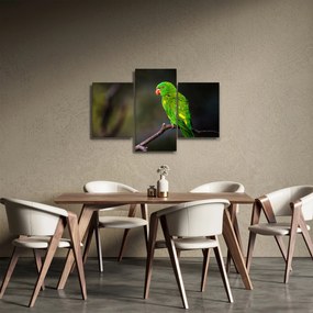 Tablou cu papagal pe greangă (90x60 cm)