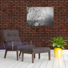 Tablou pe sticlă - Pajiște după ploaie (70x50 cm)