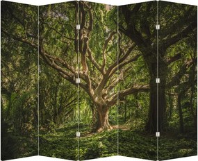 Paravan - Copaci (210x170 cm)