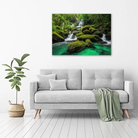 Tablouri tipărite pe pânză Cascada din pădure