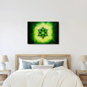 Tablou - Mandala de flori, fundal verde (70x50 cm)