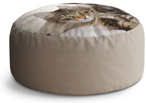 Taburet Circle pisicuță și cățeluș, bej