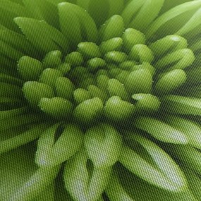Tablou - Imagine macro a unei plante (120x50 cm)