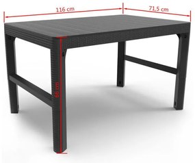 Set mobilier de grădină Evyon 4+1, grafit