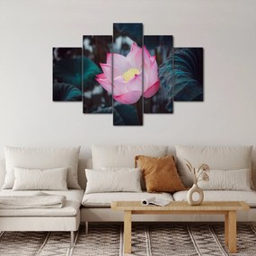 Tablou cu floare roz (150x105 cm)