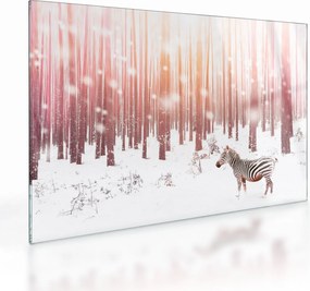 Tablou pe sticlă - Zebra în pădurea înzăpezită (70x50 cm)