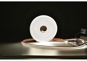 Rabalux 79021 - Bandă LED RGBW dimabilă STRIP LED/21W/230V 5 m IP67 + DO