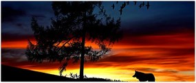 Tablou - Silueta unui lup (120x50 cm)