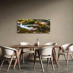 Tablou cu părâu (120x50 cm)