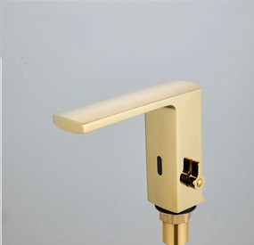Baterie Lavoar Cu Senzor/Fotocelula , 6v/220v, PureSense Gold