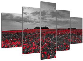 Tablou cu maci (150x105 cm)