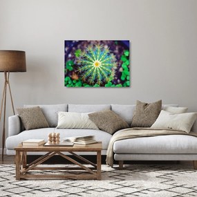 Tablou pe sticlă cu cactus (70x50 cm)