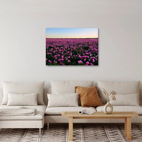 Tablou - Pajiștea cu lalele violet (70x50 cm)