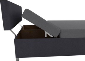 Şezlong extensibil, gri închis/gri, DOMENA