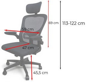 Scaun de birou ergonomic Flexo, pivotant, negru, cu suport lombar